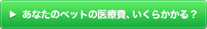 あなたのペットの医療費、いくらかかる？