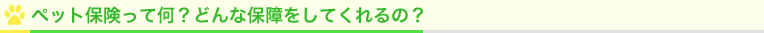 ペット保険って何？どんな保障をしてくれるの？