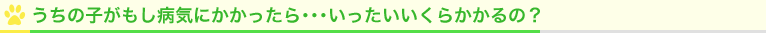 うちの子がもし病気にかかったら･･･いったいいくらかかるの？