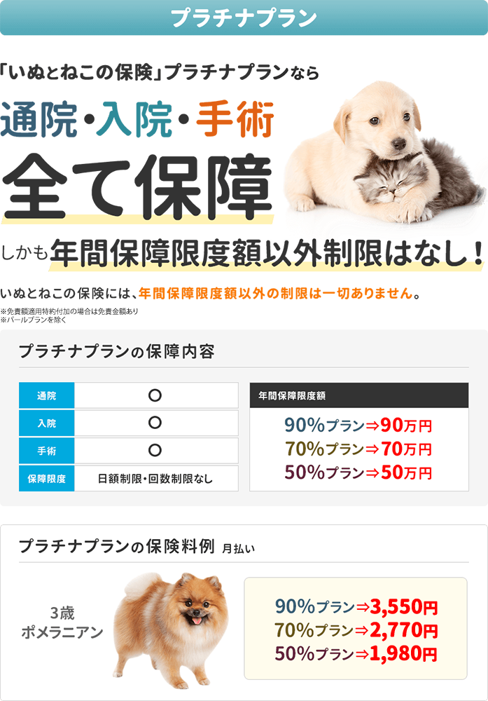 日本ペット少額短期保険会社 ペット保険(犬・猫・小動物）比較するなら【ペット保険比較サイトVita】