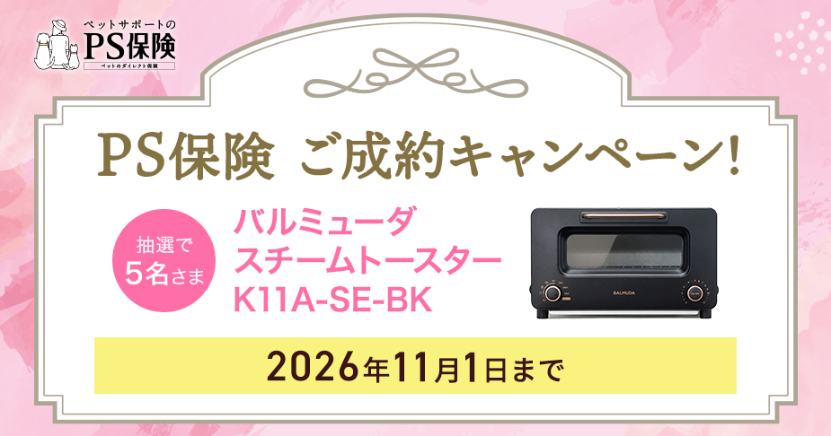 キャンペーン