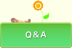 Q&A