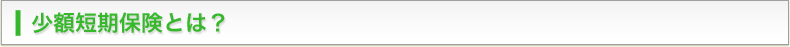少額短期保険とは